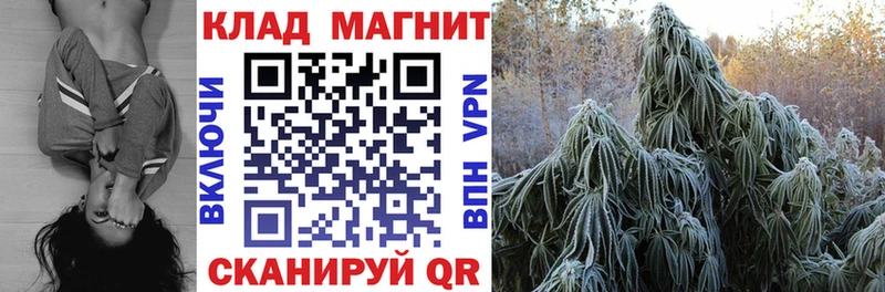 Купить наркотик Астрахань Бошки Шишки  Alpha-PVP  МЕФ  АМФ  Кокаин 
