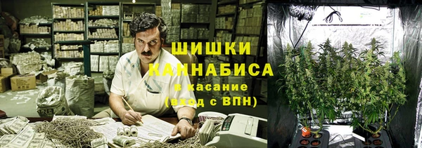 spice Абаза