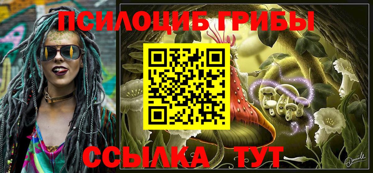 Астрахань  Псилоцибиновые грибы MAGIC MUSHROOMS  Галлюциногенные грибы Psilocybine cubensis  Вход с VPN 